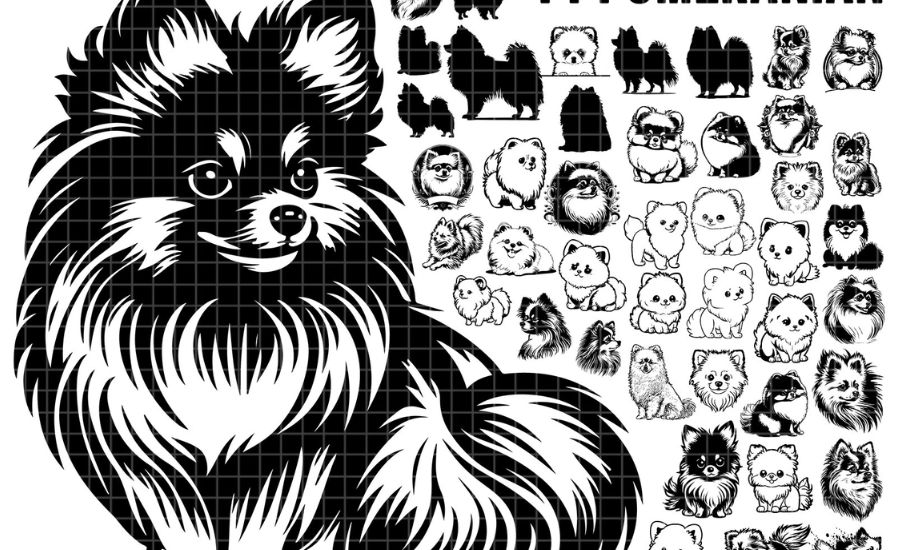 What Is a Pomeranian Face Silhouette?